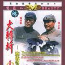 大转折——鏖战鲁西南