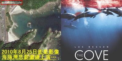 海豚湾的海报-正式海报 谷歌