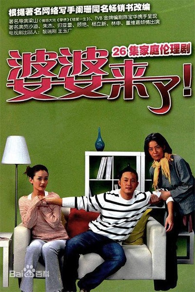 婆婆来了的海报-正式海报