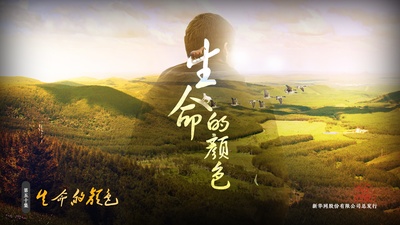 国家相册的海报-其他海报