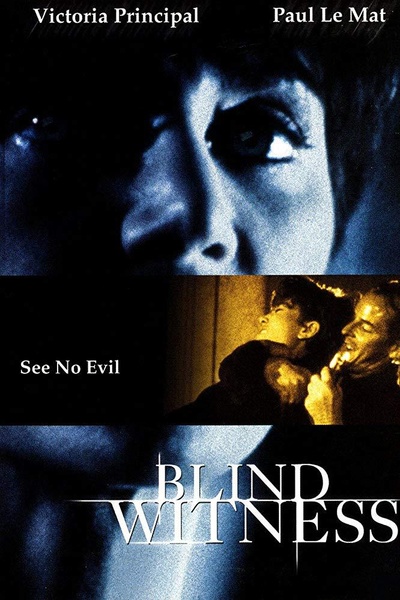 Blind Witness的海报-正式海报