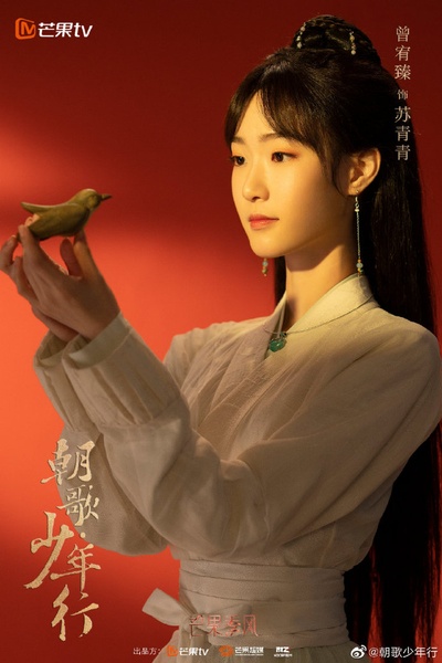 朝歌•少年行的海报-角色海报