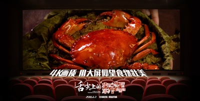舌尖上的新年的海报-其他海报 中国大陆