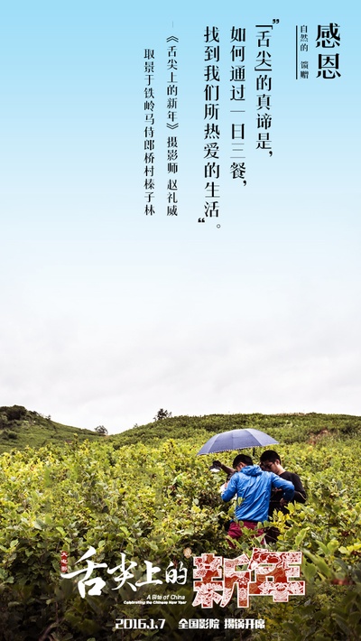 舌尖上的新年的海报-其他海报