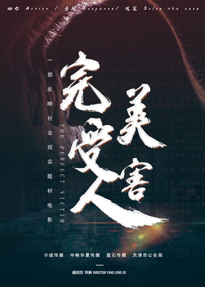 完美受害人的海报-其他海报 中国大陆