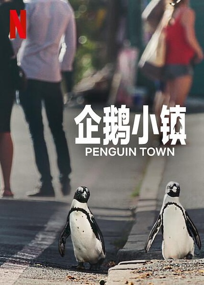 企鹅小镇的海报-正式海报