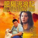 肥猫流浪记