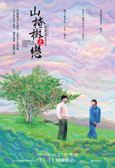 山楂树之恋的海报-正式海报 香港