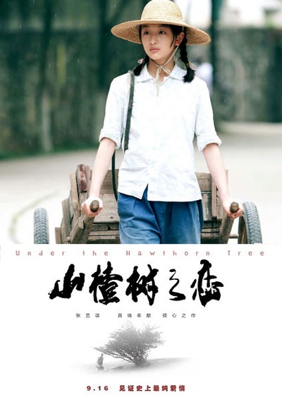 山楂树之恋的海报-预告海报 中国大陆