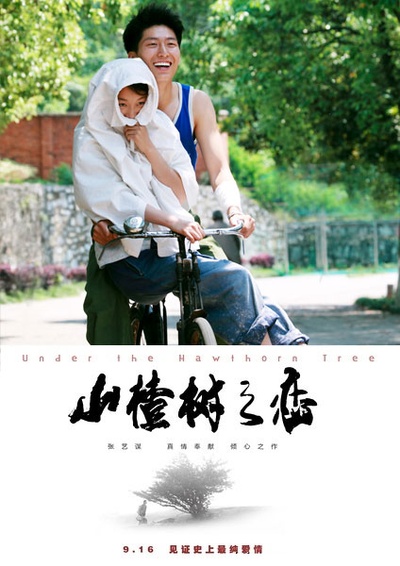 山楂树之恋的海报-预告海报 中国大陆
