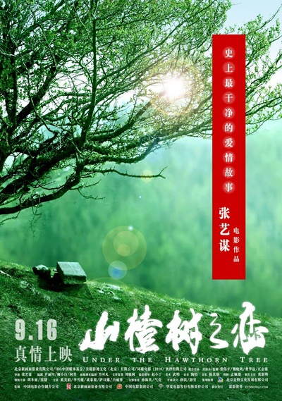 山楂树之恋的海报-正式海报 中国大陆