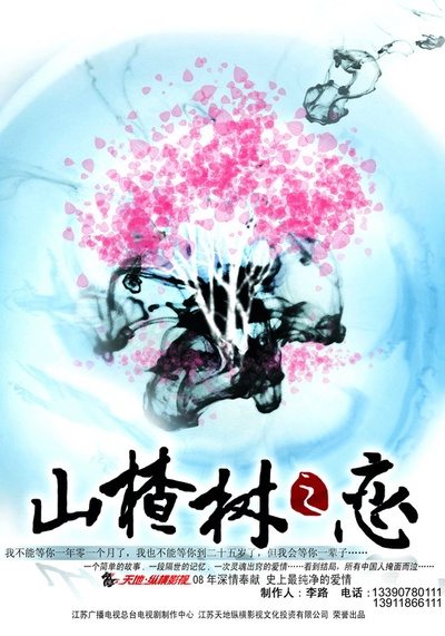 山楂树之恋的海报-预告海报