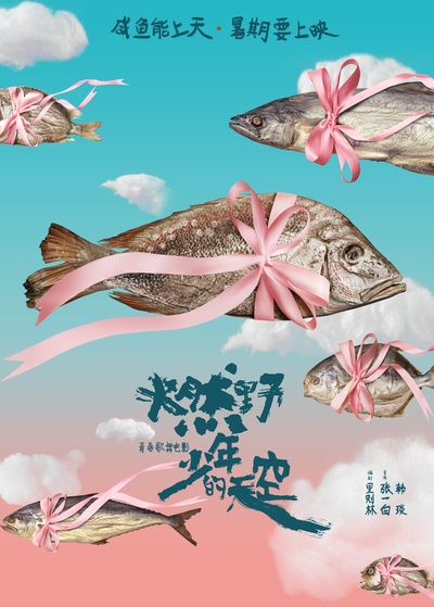 燃野少年的天空的海报-预告海报 中国大陆