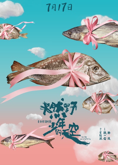 燃野少年的天空的海报-预告海报 中国大陆