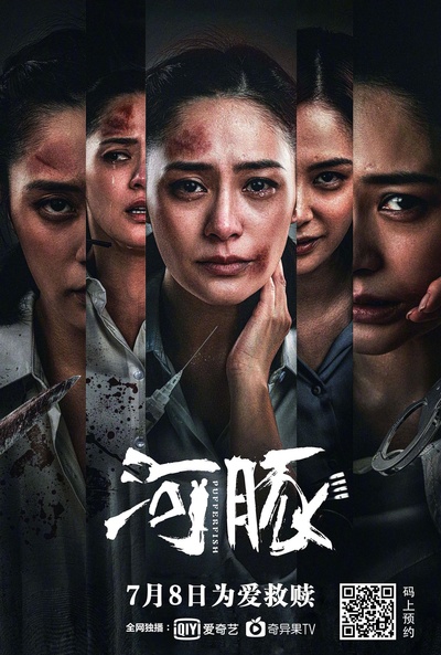 河豚的海报-正式海报