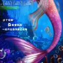 魔镜奇缘2