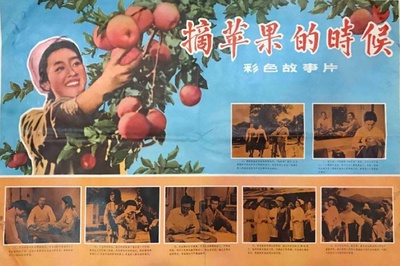 摘苹果的时候的海报-正式海报 中国大陆