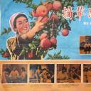 摘苹果的时候