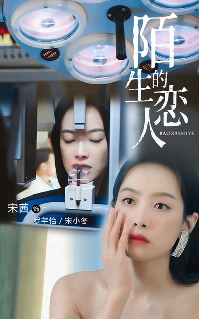 陌生的恋人的海报-角色海报