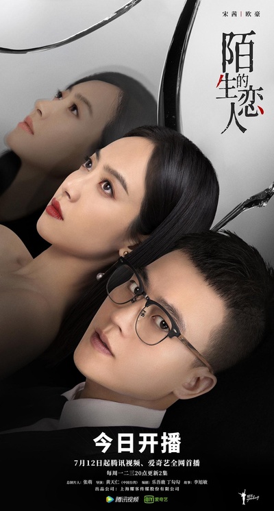 陌生的恋人的海报-正式海报