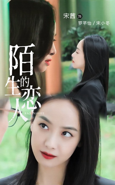 陌生的恋人的海报-角色海报