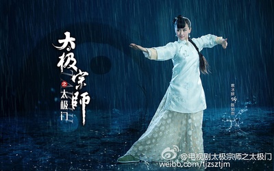 太极宗师之太极门的海报-角色海报 中国大陆