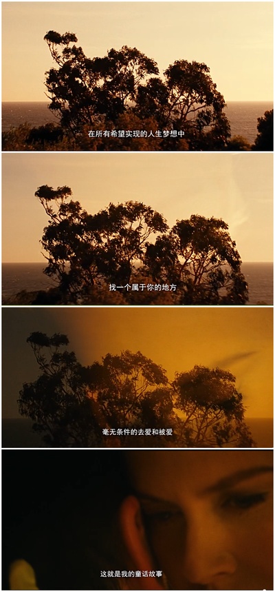 摩纳哥王妃的海报-角色海报