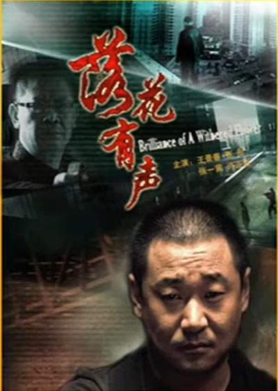 落花有声的海报-正式海报