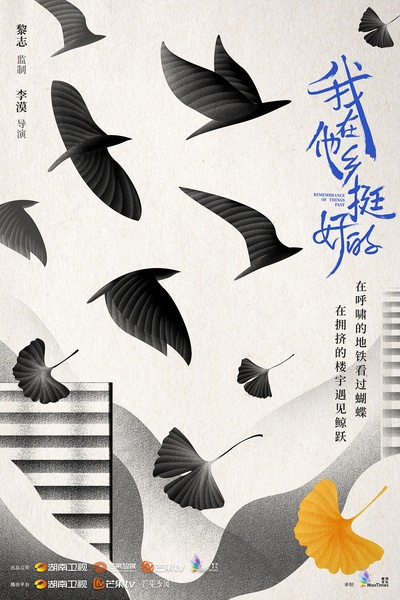 我在他乡挺好的的海报-预告海报 中国大陆