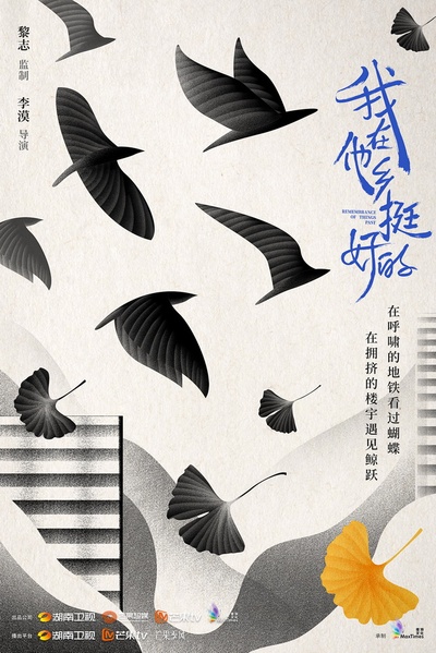 我在他乡挺好的的海报-预告海报 中国大陆