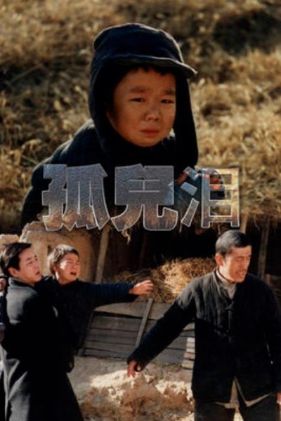 孤儿泪的海报-正式海报