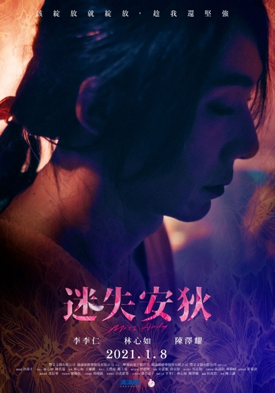 迷失安狄的海报-正式海报 中国台湾