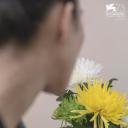 人生若只如初见