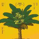 雨打芭蕉
