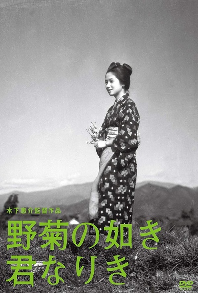 野菊之墓的海报-其他海报