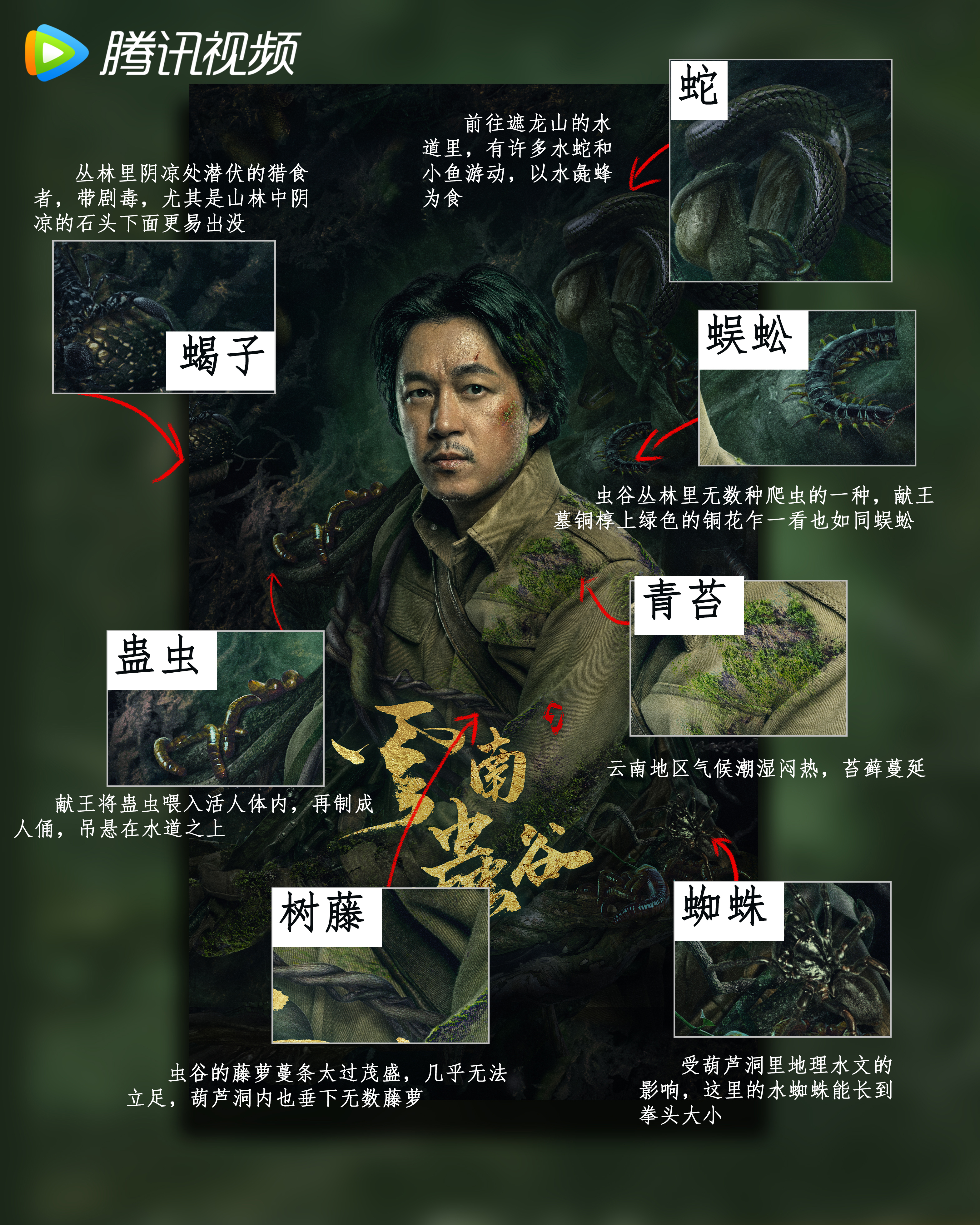 云南虫谷的海报-其他海报