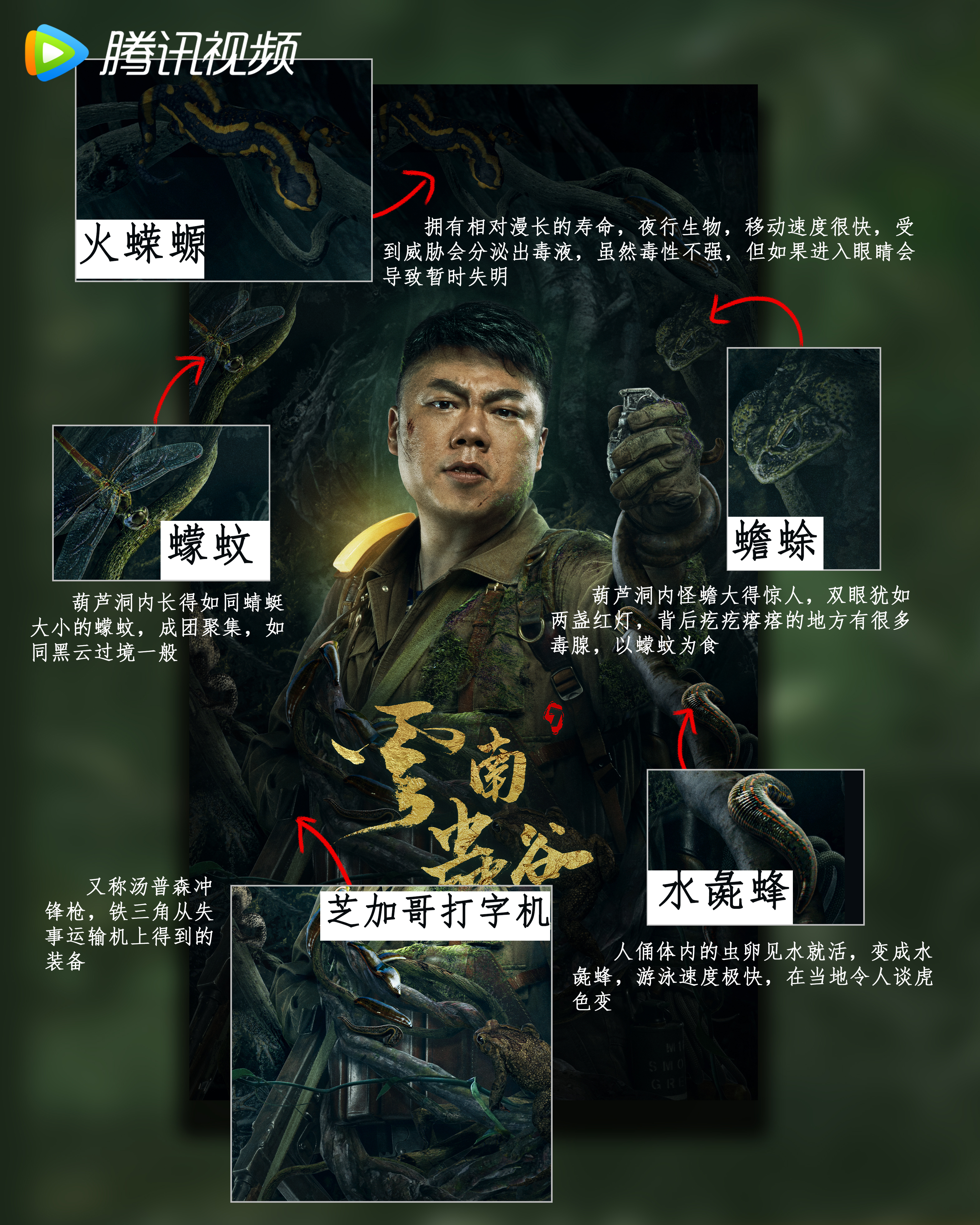 云南虫谷的海报-其他海报