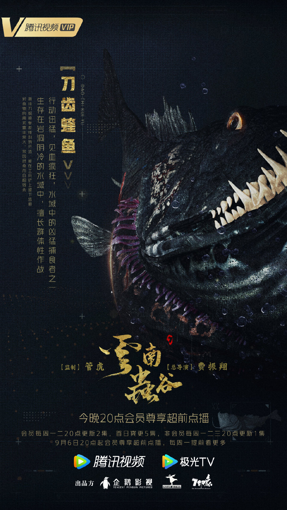云南虫谷的海报-其他海报