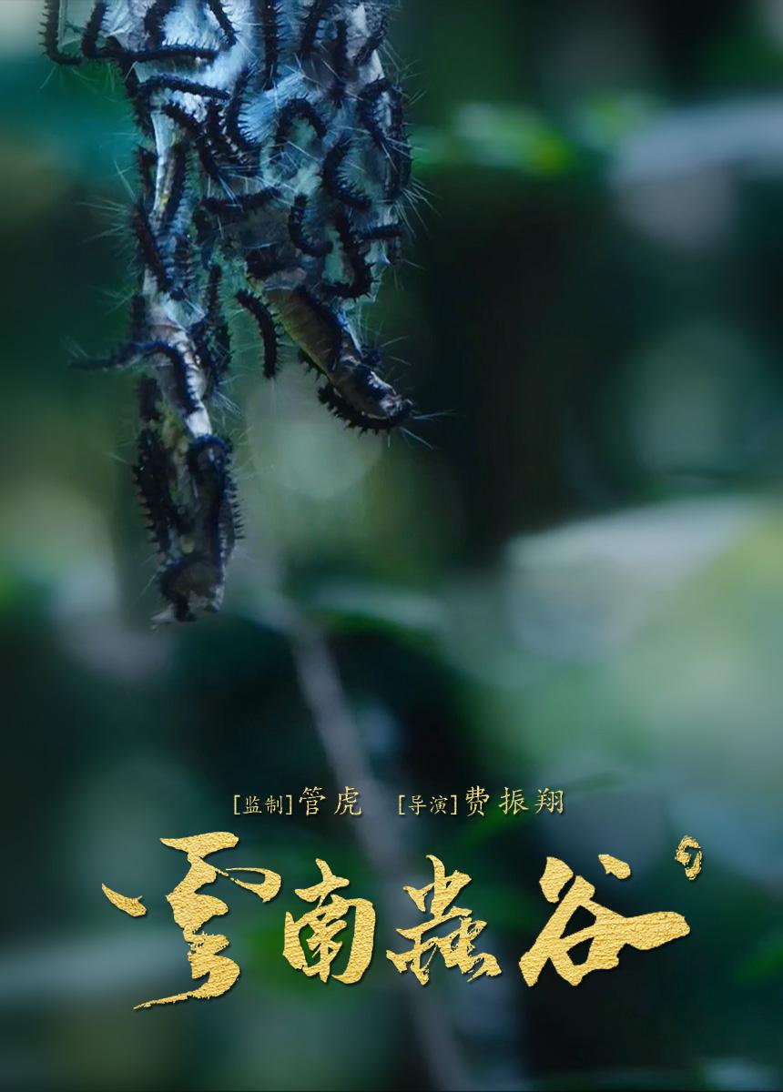 云南虫谷的海报-预告海报 中国大陆