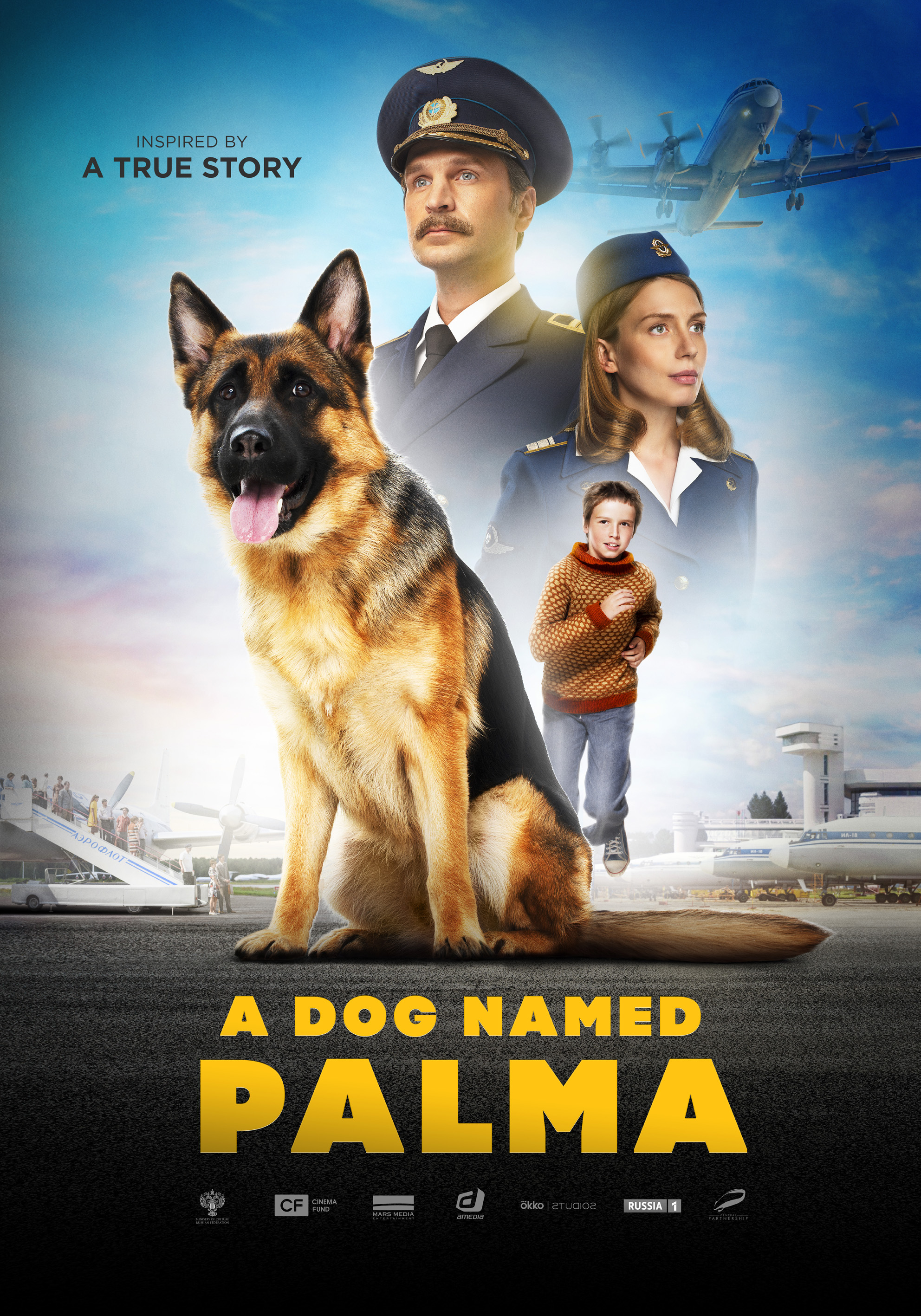忠犬帕尔玛的海报-预告海报 国际版