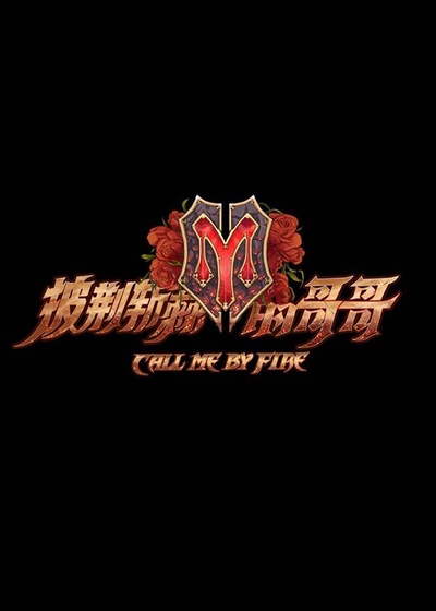 披荆斩棘的哥哥的海报-预告海报