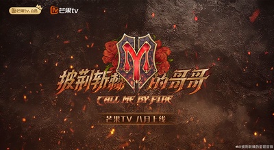 披荆斩棘的哥哥的海报-其他海报