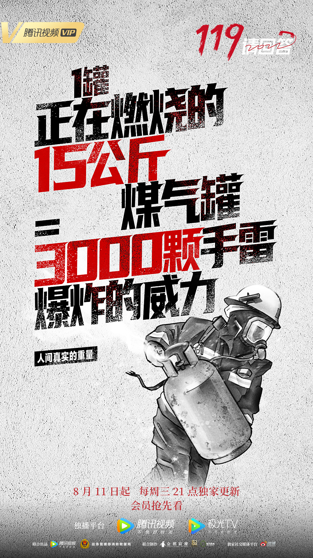 119请回答的海报-其他海报