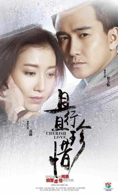 且行且珍惜的海报-正式海报