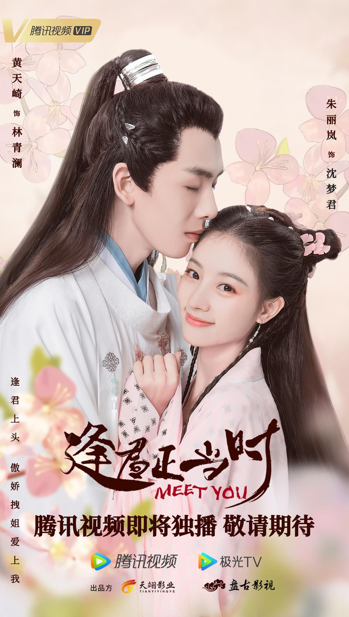 逢君正当时的海报-预告海报