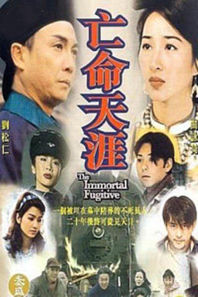 亡命天涯的海报-正式海报