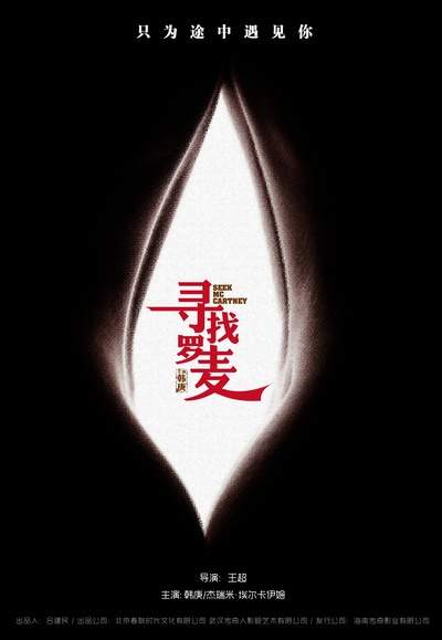 寻找罗麦的海报-预告海报 中国大陆