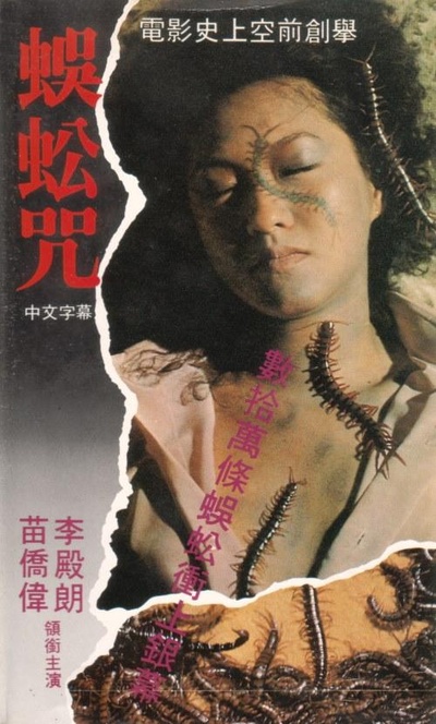 蜈蚣咒的海报-正式海报