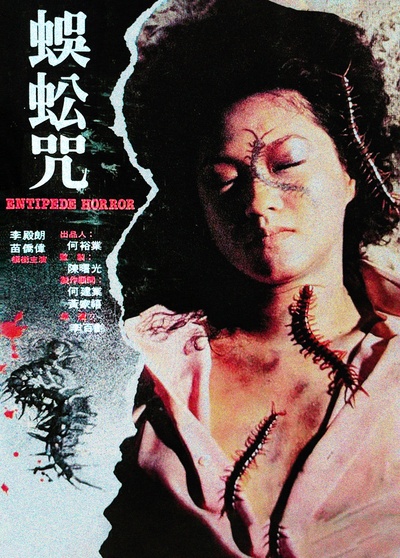 蜈蚣咒的海报-其他海报
