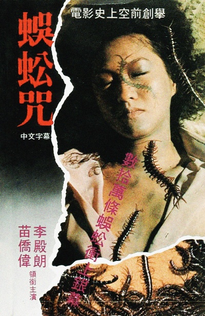 蜈蚣咒的海报-其他海报